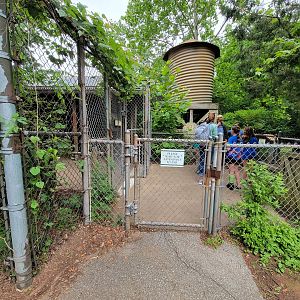 Louisville 5/22 - Wallaroo Walkabout exit