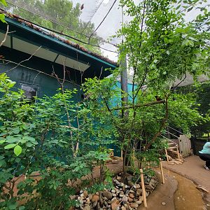 Louisville 5/22 - Lorikeet Landing