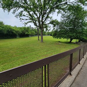 Louisville 5/22 - Guanaco