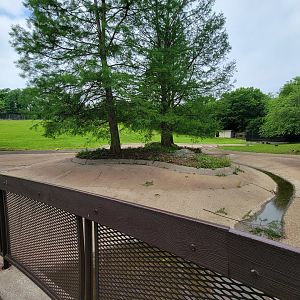 Louisville 5/22 - Guanacos