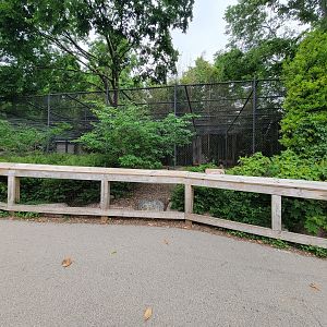 Louisville 5/22 - Jaguar