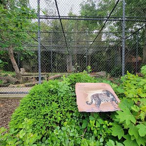 Louisville 5/22 - Jaguar