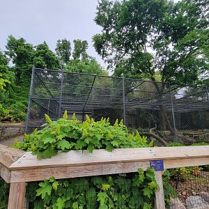 Louisville 5/22 - Jaguar