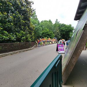 Louisville 5/22 - Path past sloth