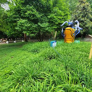 Louisville 5/22 - Chilean flamingo, southern screamer, unsigned dalmatian pelicans