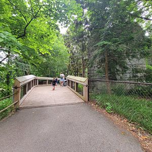 Louisville 5/22 - Cats of the Americas path