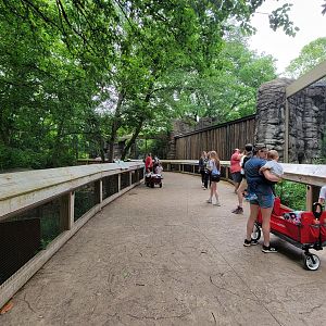 Louisville 5/22 - Cats of the Americas, dead end path