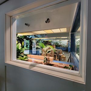 Louisville 5/22 - Metazoo, plant growing