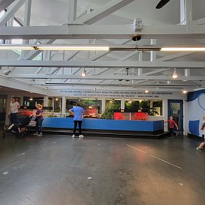 Louisville 5/22 - Metazoo, herp wall