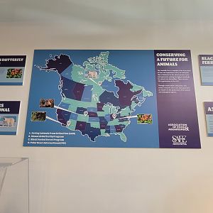 Louisville 5/22 - Metazoo, some SAFE info