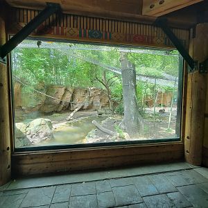 Louisville 5/22 - Islands, rotational exhibit #2