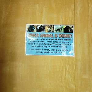 Louisville 5/22 - Islands, rotational exhibit info