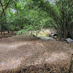 Louisville 5/22 - Islands, Oriental white stork, demoiselle crane, Aldabra tortoise