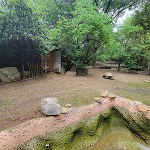 Louisville 5/22 - Islands, Oriental white stork, demoiselle crane, Aldabra tortoise