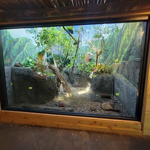 Louisville 5/22 - Islands Pavilion, dove exhibit