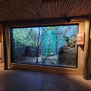 Louisville 5/22 - Islands Pavilion, Birds of the American Isles / Birds of New Guinea