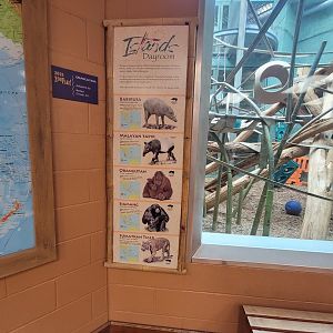 Louisville 5/22 - Islands Pavilion, rotational species