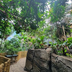 Louisville 5/22 - Islands Pavilion, walk-through aviary