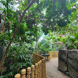 Louisville 5/22 - Islands Pavilion, walk-through aviary