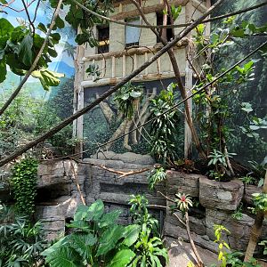 Louisville 5/22 - Islands Pavilion, walk-through aviary