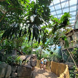 Louisville 5/22 - Islands Pavilion, walk-through aviary