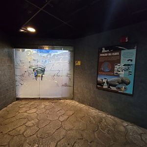 Louisville 5/22 - Islands Pavilion, Penguin Sea Cliffs