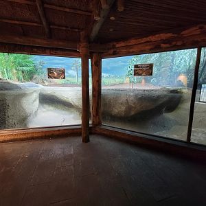 Louisville 5/22 - Islands Pavilion, Cuban crocodiles (off display)