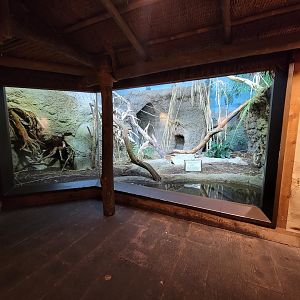 Louisville 5/22 - Islands Pavilion, Cuban crocodiles (off display)