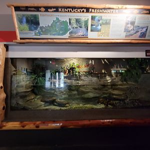 Louisville 5/22 - Herpaquarium, Kentucky freshwater, hellbender