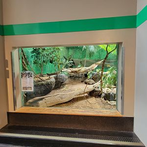 Louisville 5/22 - Herpaquarium, reticulated python