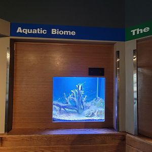 Louisville 5/22 - Herpaquarium, Aquatic biome, no signage