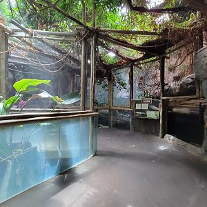 Louisville 5/22 - Herpaquarium, white alligator area