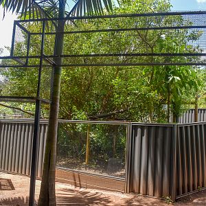 New Red Panda Enclosure