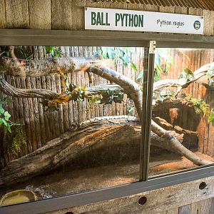 New Ball Python Enclosure