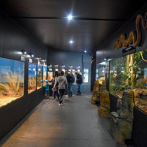 General View of Reptile House