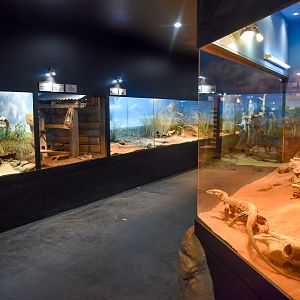 General View of Reptile House