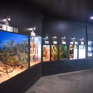 Smaller Reptile Enclosures