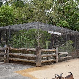 Mallee Aviary