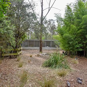 Egyptian Goose Enclosure (off-display Plains-Wanderer facilities behind)