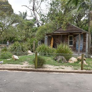 Seagull Enclosure