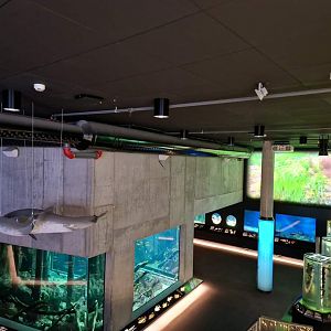 Baltic Sea Science Center,  1st level