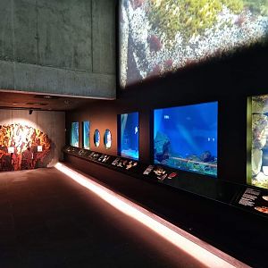 Baltic Sea Science Center, Small aquariums