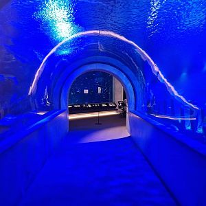 Underwater tunnel, Baltic Sea Science Center