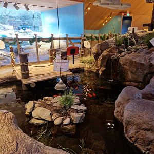 Turtle pond, Children zoo