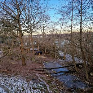 Wolverine exhibit, former Wolf's exhibit
