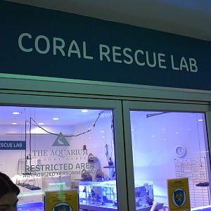 Coral Rescue Lab