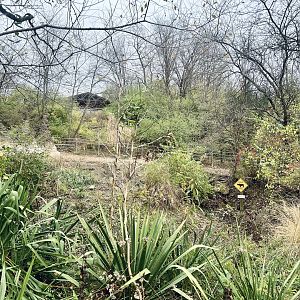 Black Rhinoceros Exhibit