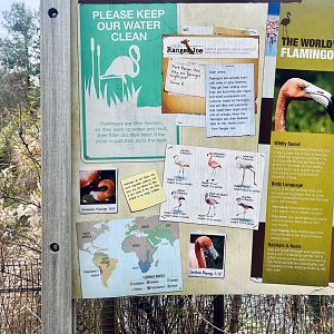 Flamingo Information Sign