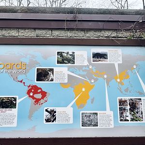 Leopard and Jaguar Information Sign