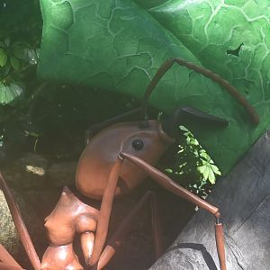 Leaf-cutter Ant Statue